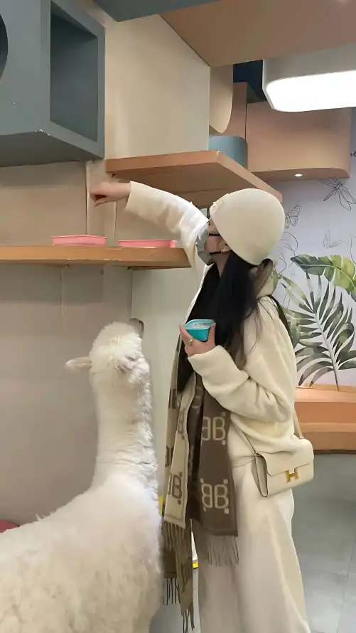 国产麻豆精选